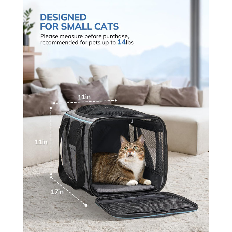 Pet carriers with wheels for cats hotsell